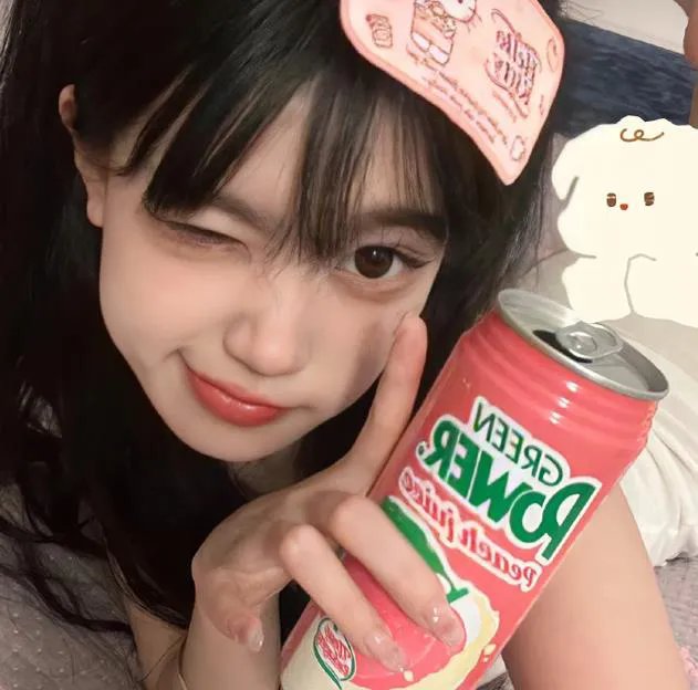 笨蛋的悲剧人生