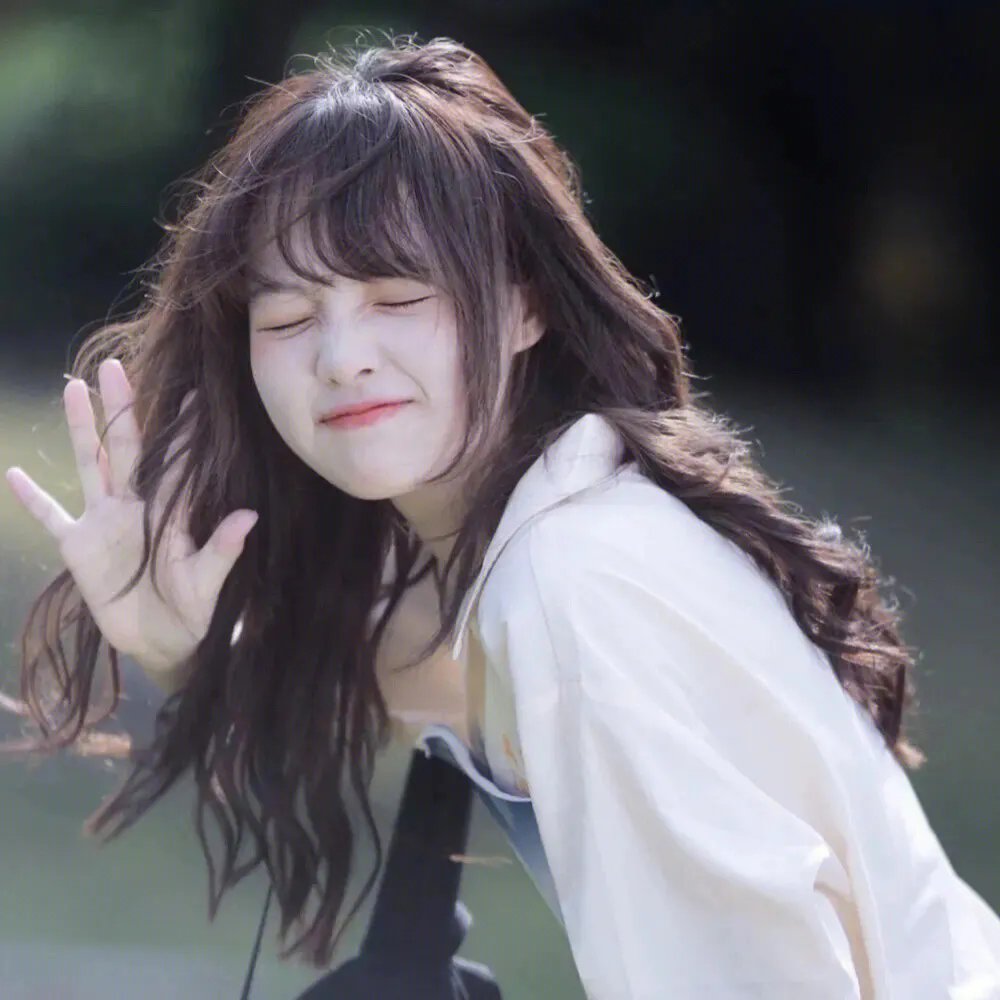 探长薇拉第十二季